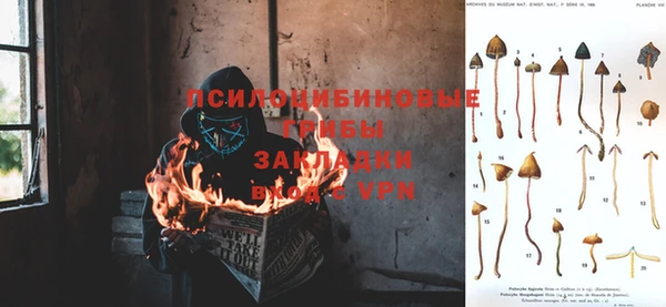 дмт Дмитровск