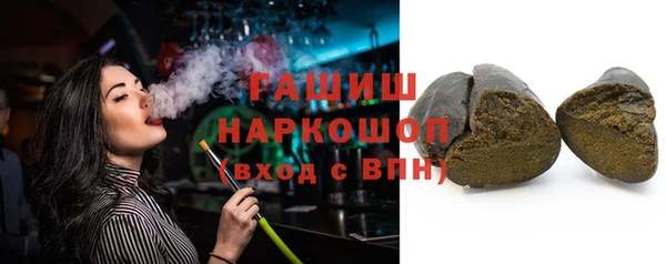 гашик Гусь-Хрустальный