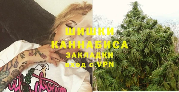 бошки Гусев