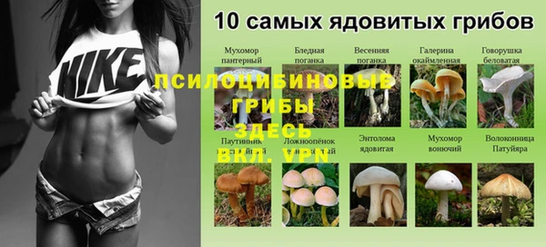соль ск Сафоново