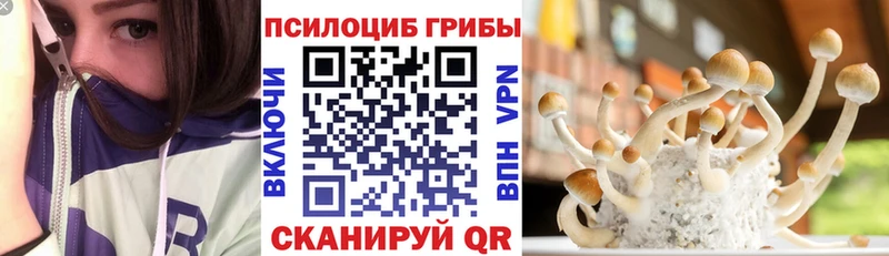 hydra зеркало  Ладушкин  Галлюциногенные грибы ЛСД 